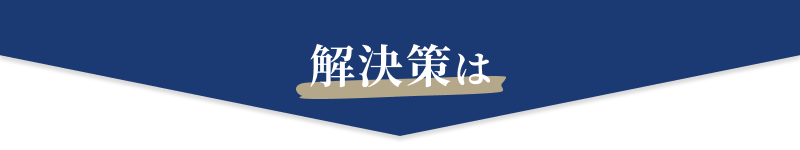 解決策は